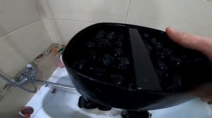 Год спустя фильтр TETRA EX 800 Plus в аквариуме с ЗОЛОТЫМИ РЫБКАМИ.