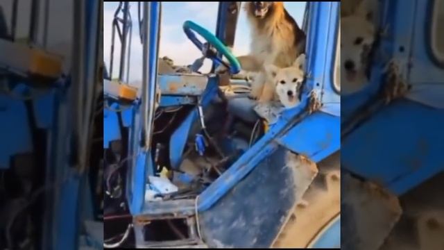 поехали) смотреть онлайн