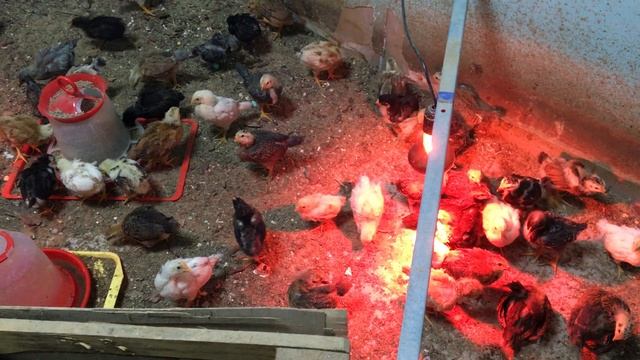 04-05-2023 смотреть онлайн