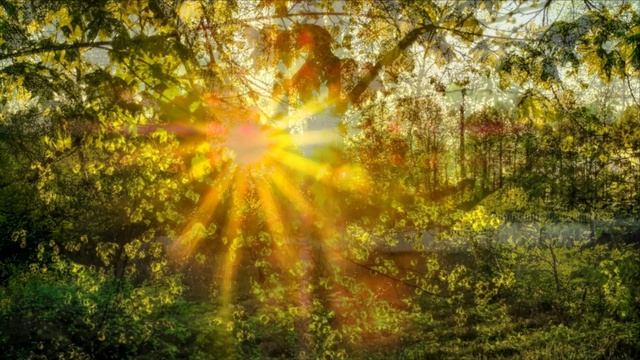 Собственная Победа.