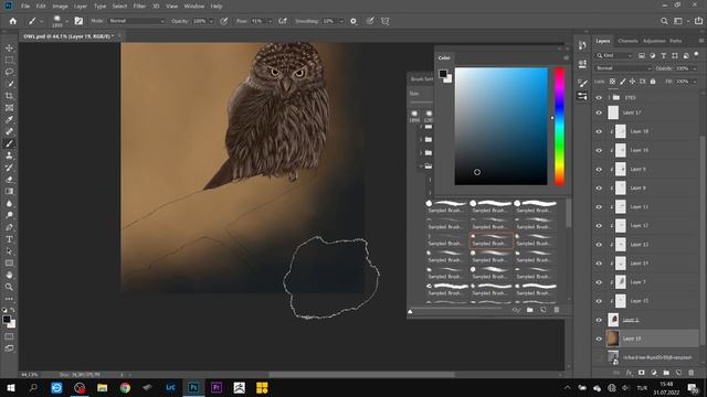 Snowy Owl Illustration Process - Sketching on Photoshop & Coloring Speed Art смотреть онлайн