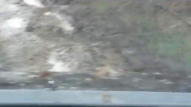 ховер и нива смотреть онлайн