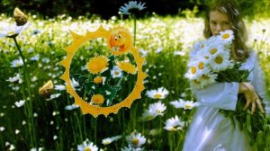 ОДУВАНЧИК ТЫ МОЙ,   ОДУВАНЧИК