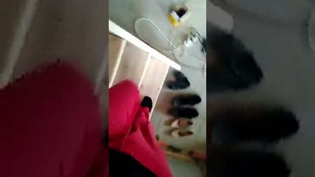 Сделали г образную лестницу на 2 этаж. смотреть онлайн