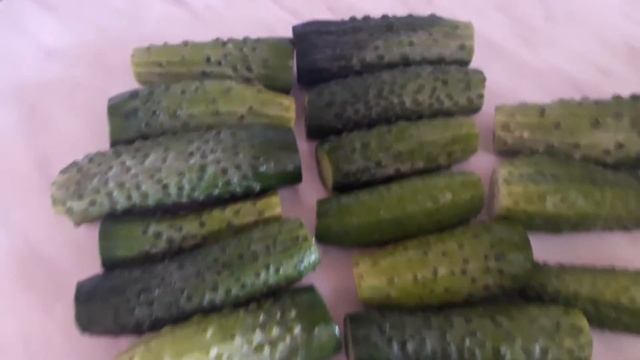 ЗАКРЫВАЮ СВОИ ДАЧНЫЕ ОГУРЦЫ?