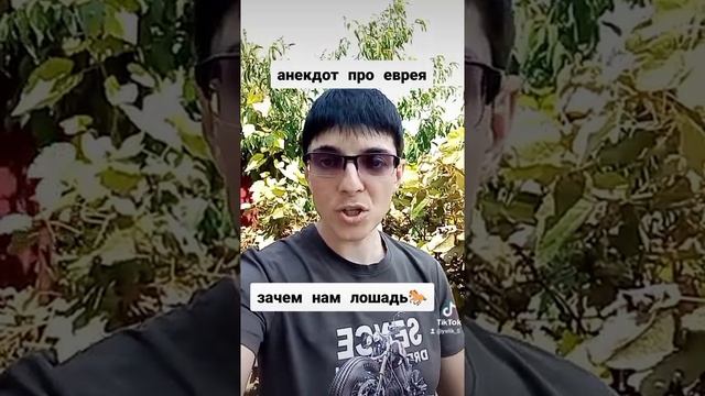 Анекдоты от Элика ( зачем нам лошадь??) смотреть онлайн