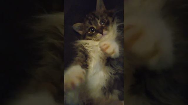 Малыш с дач смотреть онлайн