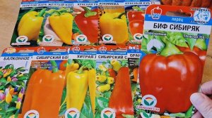 Обзор перцев АФ Сибирский сад. Перцы Сибирский бонус, Золотой формат Биф сибиряк Красный куб F1 и т