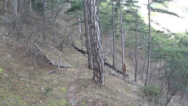 Любимое ущелье смотреть онлайн