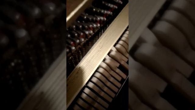 Обзор Фортепиано PETROF Петроф