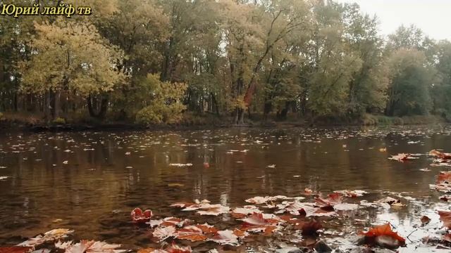 Осенняя прогулка релакс по красивому парку с блондинкой