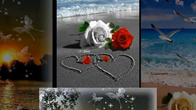 Lumina Vieții Mele Versuri Gheorghe Sănduleac Muzică și Voce Dan Lucian Corb