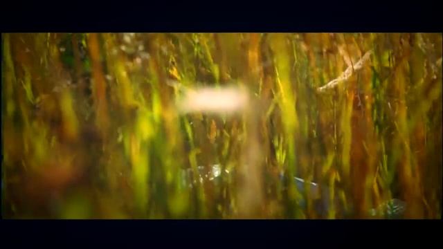 Свадебный клип. Свадьба Ксении и Евгения..mkv смотреть онлайн