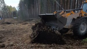 Расчистка участка эскаватором. Участок с лесом