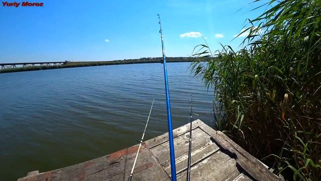 Рыбалка на карася. Ловля карася на донки смотреть онлайн