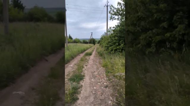 Окрестности, Орловская область, г. Новосиль смотреть онлайн