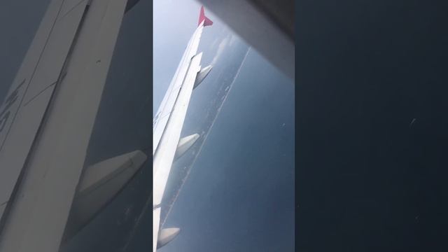 ✈️Colombo airport✈️ #colombo #shorts смотреть онлайн