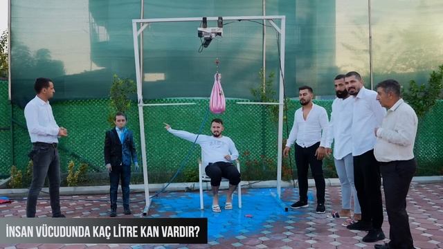 BİLEMEZSEN VAY HALİNE ! смотреть онлайн