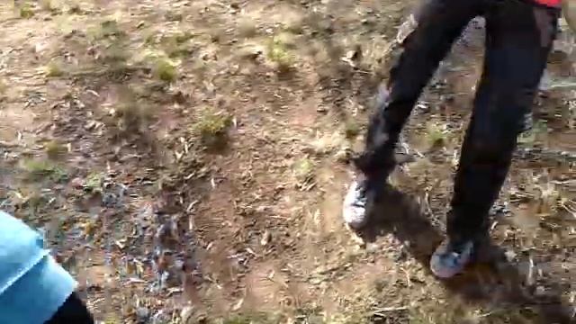 Школа. СШИОСД. Суббота есть субботник 3 часть смотреть онлайн