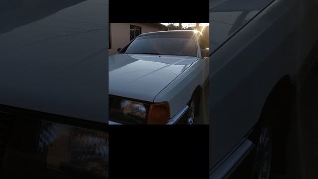 Hello I'm Audi 100 I was created in August 1983 смотреть онлайн