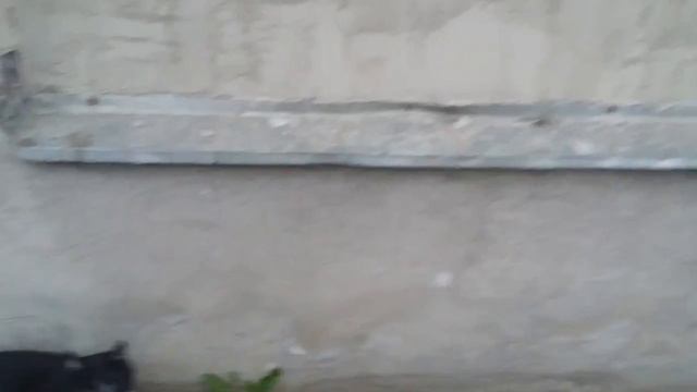 Катя теряет квалификацию.