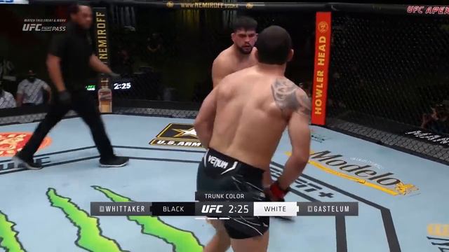 Robert Whittaker Vs Kelvin Gastelum - FULL FIGHT