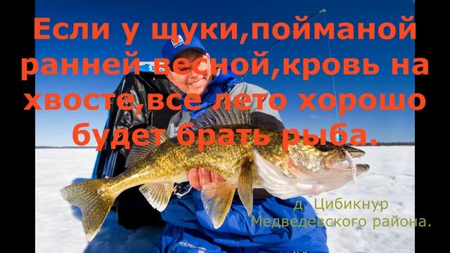 Марийские народные приметы.Часть 7.Когда клюет рыба. смотреть онлайн