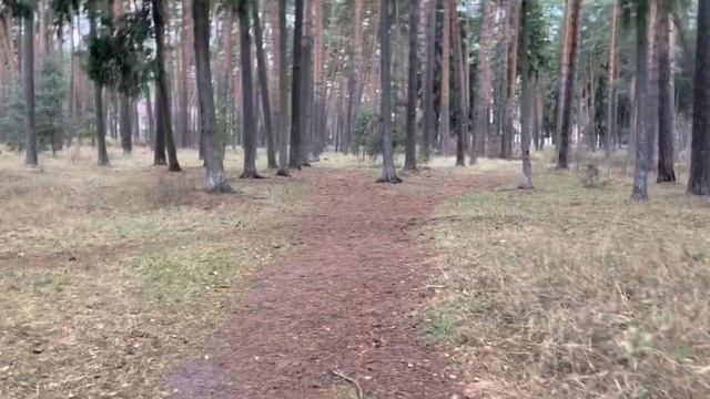 Просто медитативная прогулка по Кратово смотреть онлайн