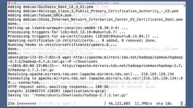 Install Java and Hadoop смотреть онлайн
