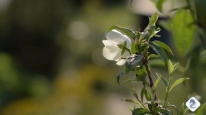 #УмилениеДуши#ВИДЕОKLASS#ЖаннаДаценко#Красота#Природа#