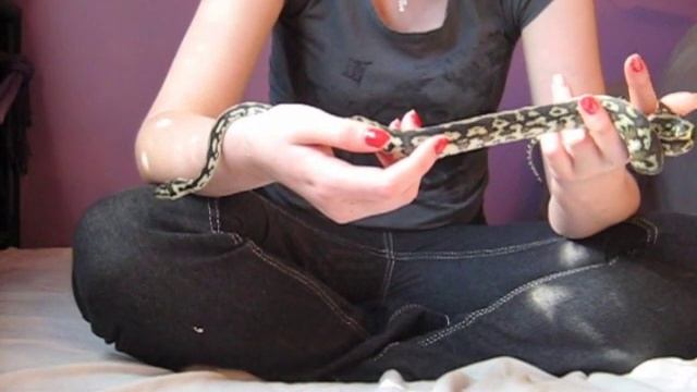 Jungle Carpet Python - First Handle смотреть онлайн