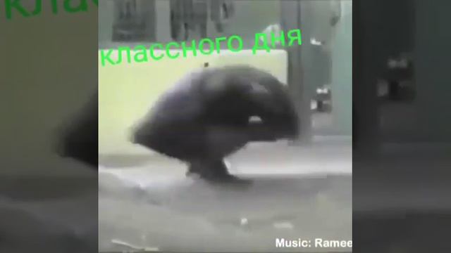 Всем Мира и Добра ! ХОРОШЕГО ДНЯ!