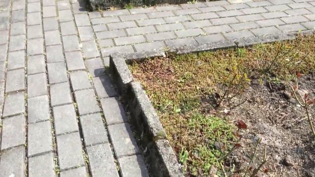 Отдых у фонтанчика смотреть онлайн
