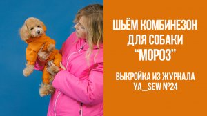 Комбинезон для собаки "МОРОЗ". Журнал Ya_Sew №24