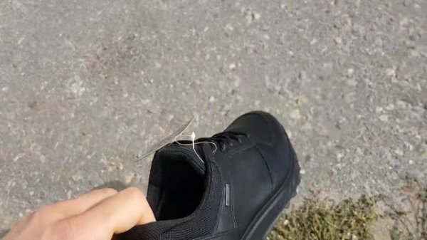 Кросcовки ECCO EXOSTRIDE (835304-01001)