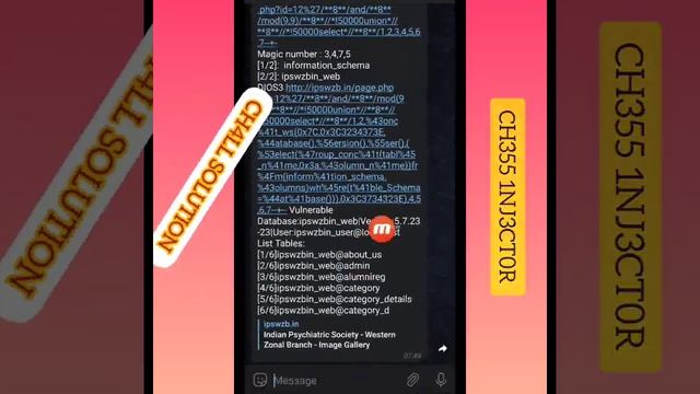 Automatic Inject Challenge solution sqli |Priv Telegram Bot| 2023 смотреть онлайн