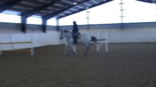 Ella och Linda 13 jan.wmv смотреть онлайн