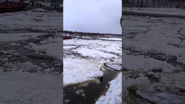 Запуск парома на Оби май 2017 года смотреть онлайн