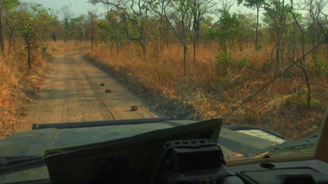 Близкие контакты / A Close Encounter | HD | смотреть онлайн