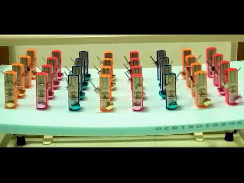 FORISE GROUP. Организованные метрономы смотреть онлайн