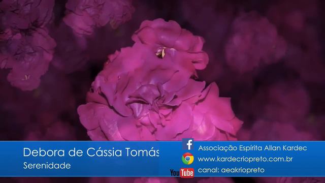 Serenidade - Débora de Cássia Tomás Fernandes (Palestra Espírita) смотреть онлайн