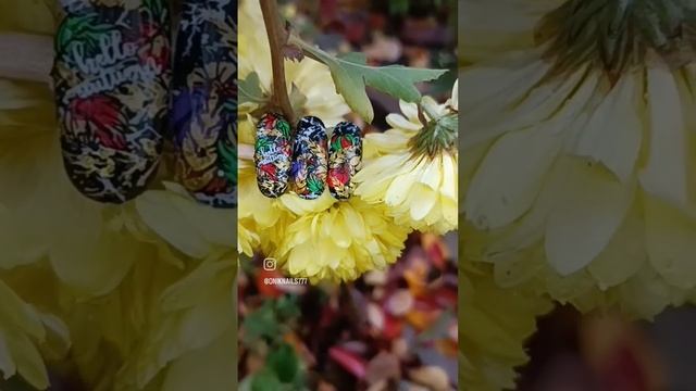 Осенний дизайн, отработки к Марафону #nailart #дизайнногтей #стемпинг #stamping смотреть онлайн