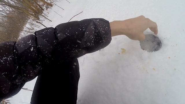 Ловушка на КУРОПАТКУ | Как поймать КУРОПАТКУ,РЯБЧИК смотреть онлайн