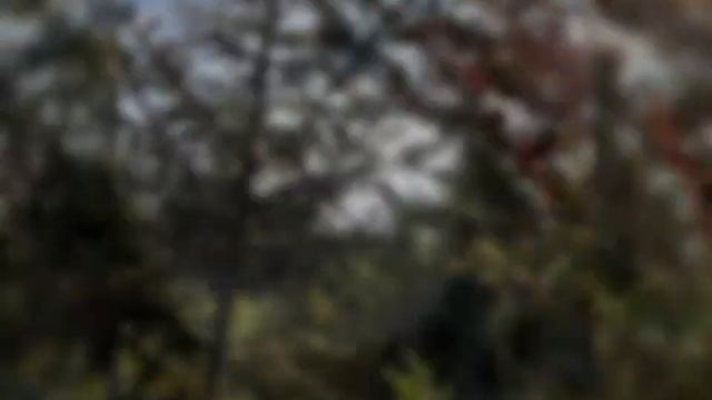 Грибная лихорадка смотреть онлайн