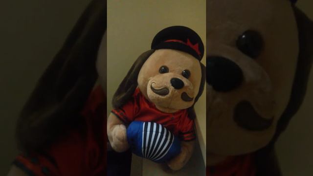 В год Собаки - поют и играют СОБАКИ! смотреть онлайн