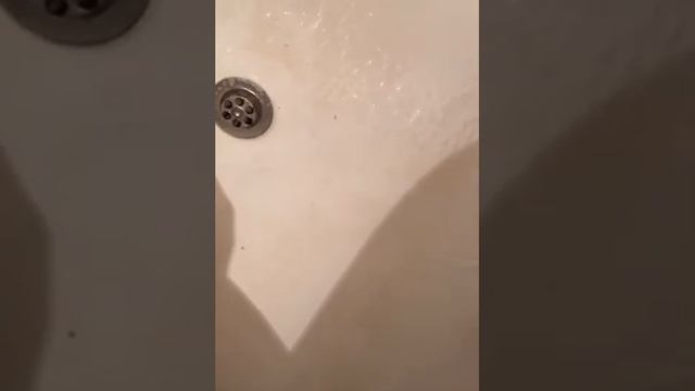 #средство для очистки ванной комнаты смотреть онлайн