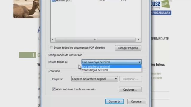 Convertir PDF a Word/ Excel/ Power Point/ Imagen | Nitro Pro 9 смотреть онлайн