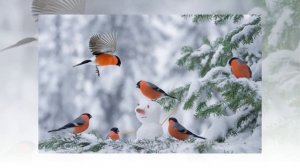 Зима. Презентация для детей. Окружающий мир.