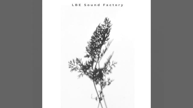 Brushing Sounds For Sleep ASMR смотреть онлайн