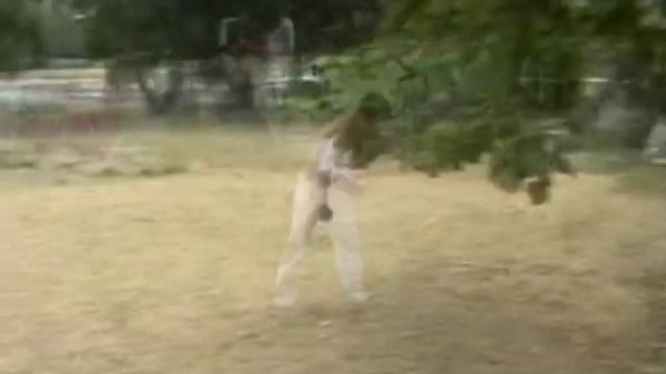 Capoeira Anzor 2008.mpg